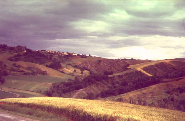 Collina
